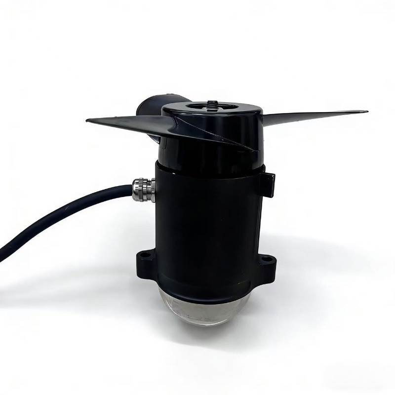 Fishing Boat Paddle - Moteur sans balais 800W 12V 24V,